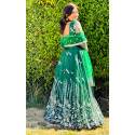 Party Wear Lehenga Choli Set Fabrics net 